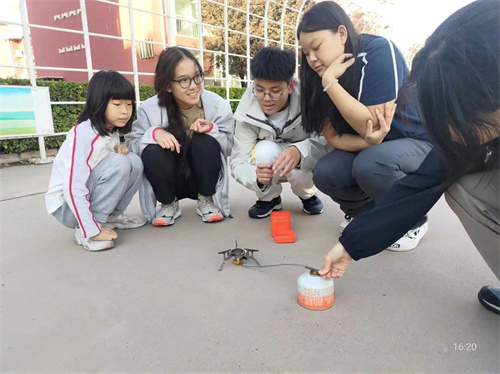 �������������ʽ�