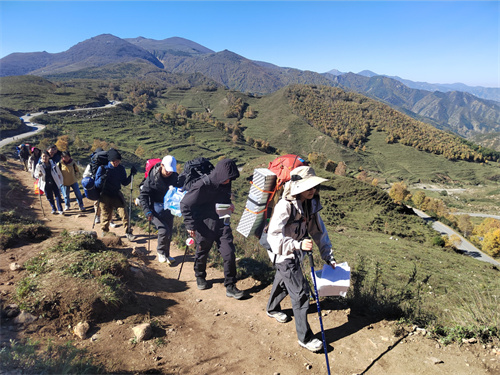 �������������ʽ�