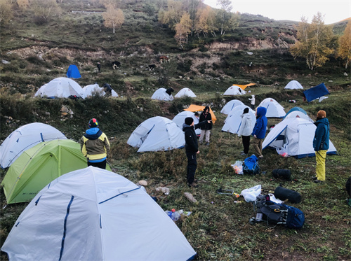 �������������ʽ�