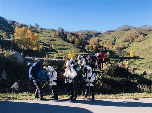 �������������ʽ�