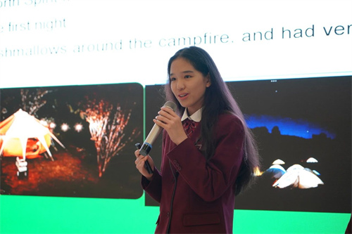 �������������ʽ�