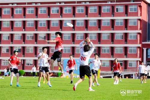 ���Ϸ���