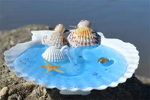 δ쵼ѧУѧӪ
