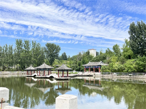 ٿѧУDSE