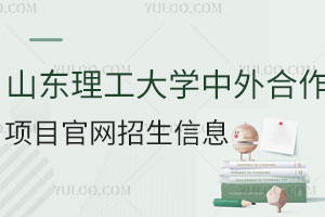 山东理工大学中外合作办学项目官网招生信息