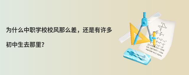 ΪʲôְѧУУôȥ