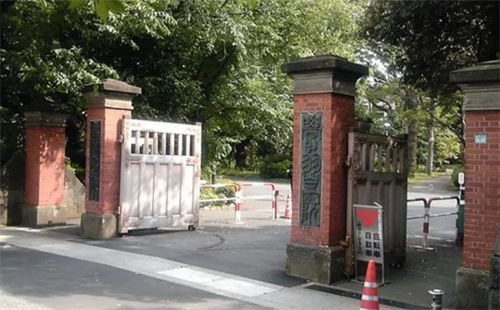 中育贝拉日语学部Offer