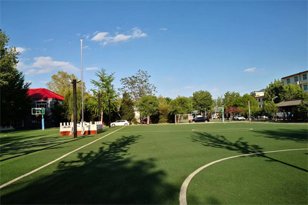 �������������������ѧУ