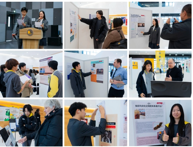 �������Ŀγ�