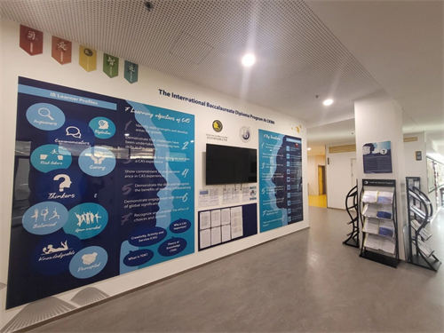 �������Ŀγ�