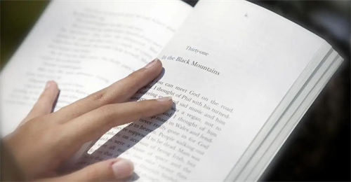 �������Ŀγ�