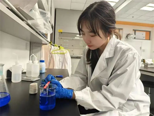 �������Ŀγ�