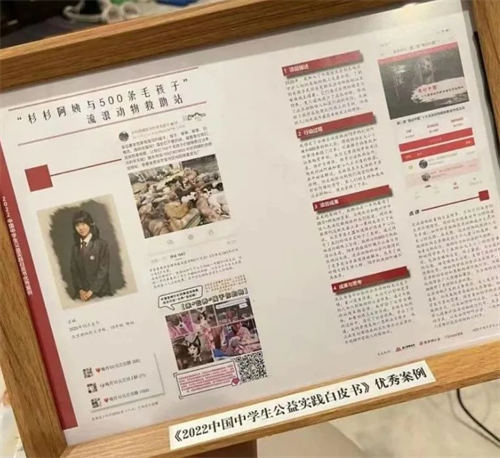 �������Ŀγ�