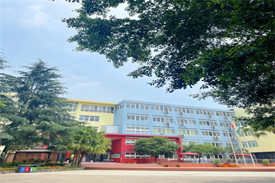 青苗学校