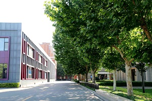 ������ѧ���ٴ�ѧУ