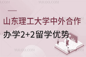 山东理工大学中外合作办学2+2留学优势有哪些？