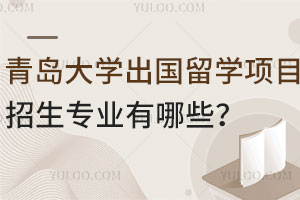 青岛大学出国留学项目招生专业有哪些？