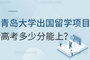 青岛大学出国留学项目高考多少分能上？