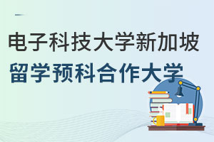电子科技大学新加坡留学预科合作大学有哪些？