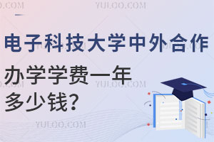 2025年电子科技大学中外合作办学学费一年多少钱？