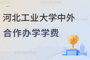 2025年河北工业大学中外合作办学学费是多少？
