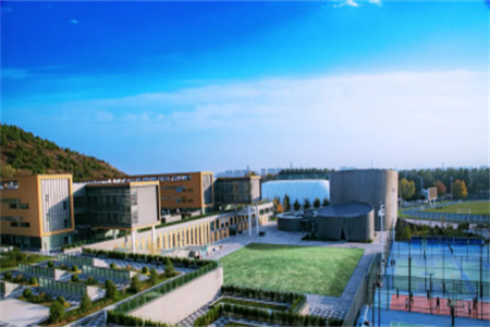 北京市私立汇佳学校初中课程分国内班和国际班吗？