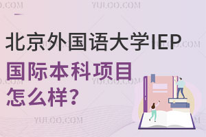 北京外国语大学IEP国际本科项目怎么样？附2025年招生计划