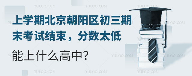 2024-25学年上学期北京朝阳区初三期末考试结束,分数太低能上什么高中?.jpg