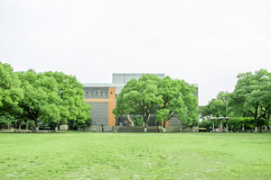 中央财经大学出国留学