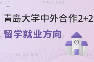 青岛大学中外合作2+2留学就业方向怎么样？