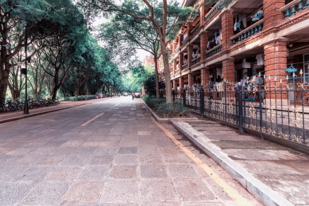 2025年北京市丰台区新北赋学校招生简章汇总！内含小初高各年级
