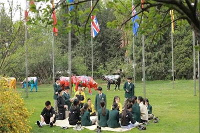 北京市私立汇佳学校一年学费大概多少钱？国内班和国际班差别大吗？