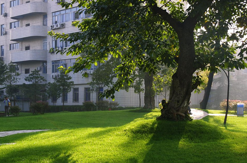 成都10W预算国际学校-电子科技大学国际课程中心