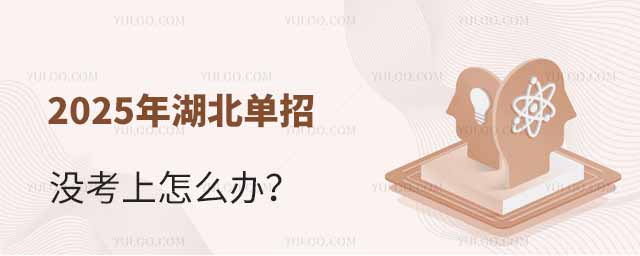 2025年湖北单招没考上怎么办?