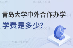 2025青岛大学中外合作办学学费多少？
