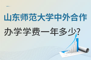 山东师范大学中外合作办学学费一年多少？