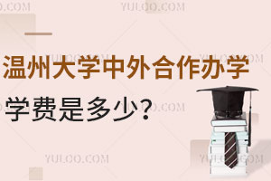 温州大学中外合作办学学费是多少？