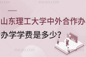 2025年山东理工大学中外合作办学学费是多少？含学校招生简章
