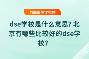 dseѧУʲô˼ЩȽϺõdseѧУ