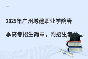 2025ݳǽְҵѧԺ߿£רҵ