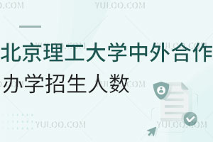 2025年北京理工大学中外合作办学招生人数是多少？