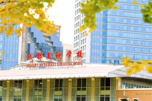 成都美视国际学校1.jpg