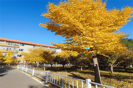 ����������ѧУ