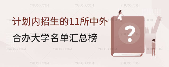 计划内招生的中外合办大学