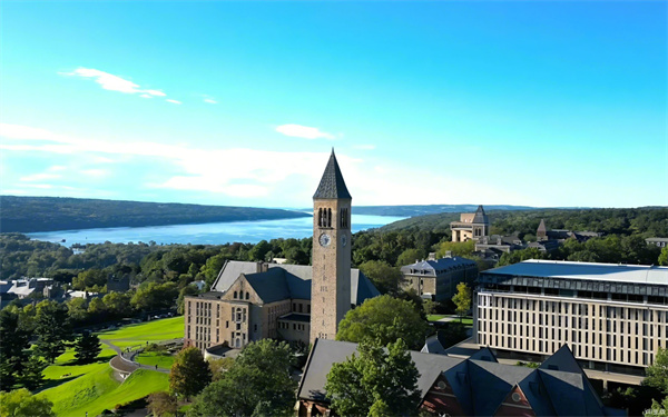 ���ζ���ѧ