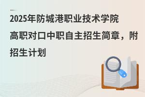 2025ǸְҵѧԺְԿְ£ƻ