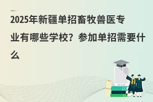 2025½ҽרҵЩѧУμӵҪʲô