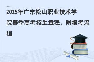 2025㶫ɽְҵѧԺ߿³̣