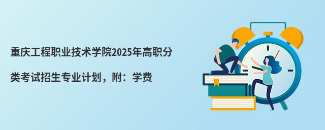 칤ְҵѧԺ2024ְ࿼רҵƻѧ