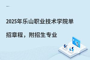 2025ɽְҵѧԺ³̣רҵ